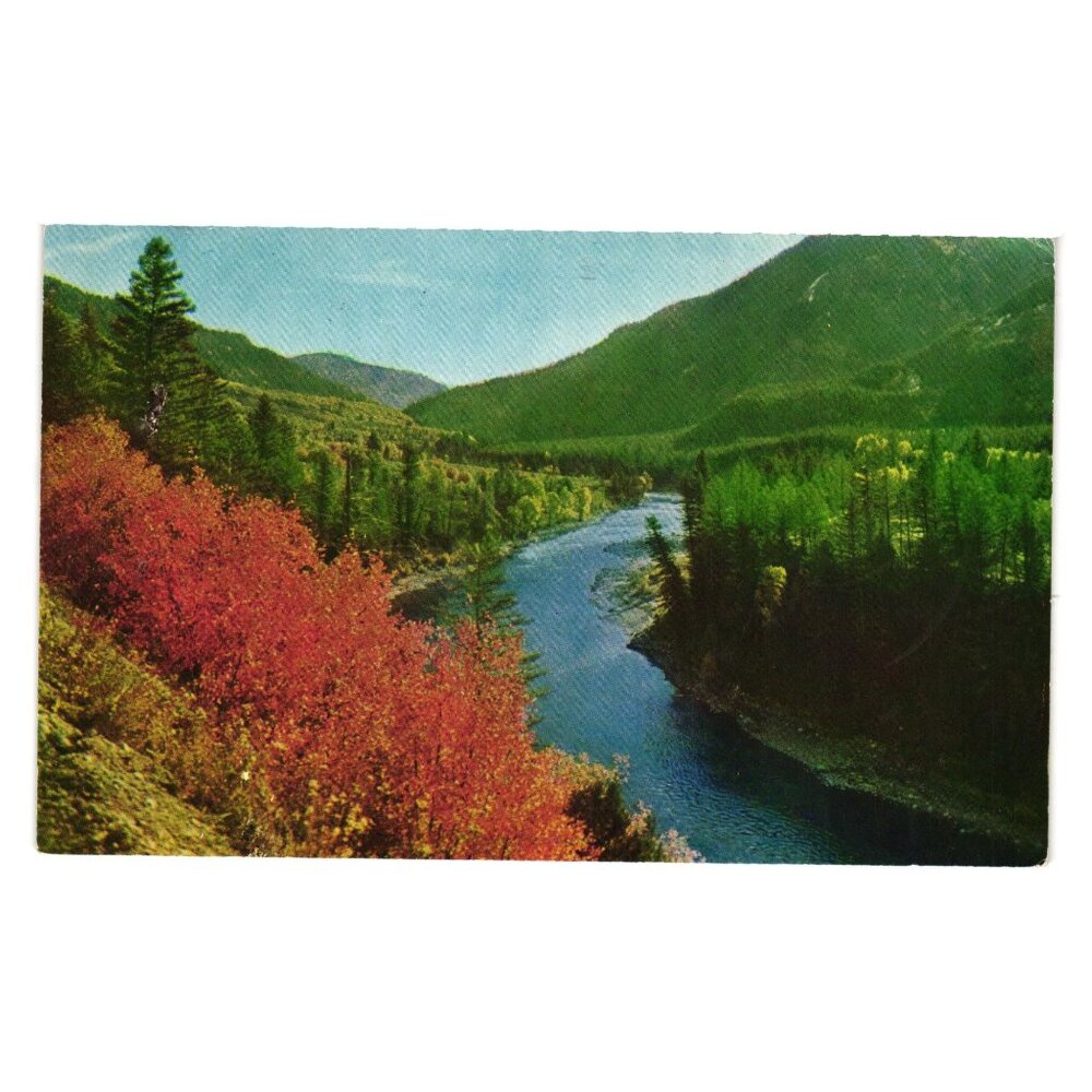 Grand Canyon Snake River Wyoming Scenic Nature Vintage Postcard Mike Roberts